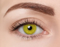 Clearcolor 1-Day Phantom Zombie Yellow -Emporio Armani Sales clearcolor FN106N zombie yellow