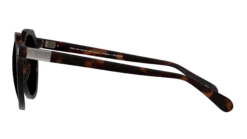 Karun KAUS0056 Havana Bro 50/25 -Emporio Armani Sales original png 5060486616671 00004