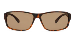 DbyD BM85 HH 61/16 -Emporio Armani Sales original png 8719154760693 front 01 gv library sobm85 eyewear havana havana