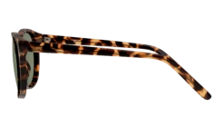 Seen SNSF0025 HHE055/18 -Emporio Armani Sales original png 8719154833427 00004