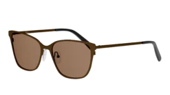 Seen SNSF0021 NNN055/17